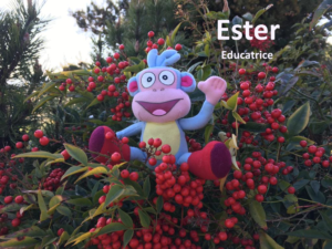 Ester, EDE