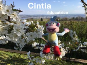 Cinita, EDE