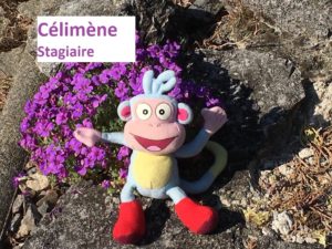 Célimène, stagiaire ASE