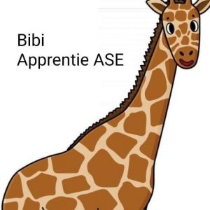 Bibi, apprentie ASE