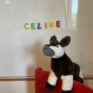 Céline, EDE
